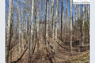 Tbd Woodland Ridge, Lansing, NC 28643 - Photo 12