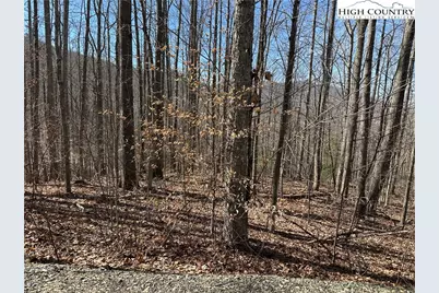 Tbd Woodland Ridge, Lansing, NC 28643 - Photo 4