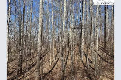 Tbd Woodland Ridge, Lansing, NC 28643 - Photo 10