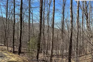 Tbd Woodland Ridge, Lansing, NC 28643 - Photo 1