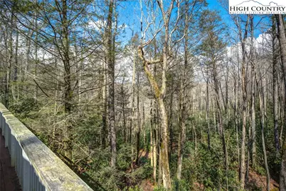 209 Birch, Boone, NC 28607 - Photo 10
