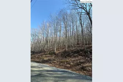 134 Locust Ridge Road, Beech Mountain, NC 28604 - Photo 2