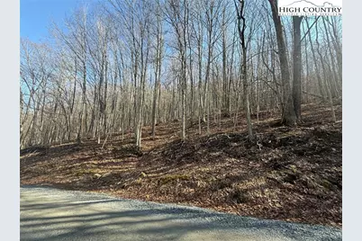 134 Locust Ridge Road, Beech Mountain, NC 28604 - Photo 1