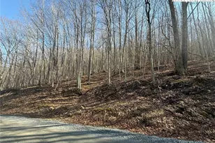 134 Locust Ridge Rd, Beech Mountain, NC 28604 - Photo 1