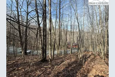 134 Locust Ridge Road, Beech Mountain, NC 28604 - Photo 8