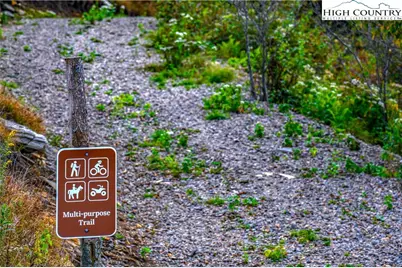 C603 Buffalo Nvno, Zionville, NC 28698 - Photo 48