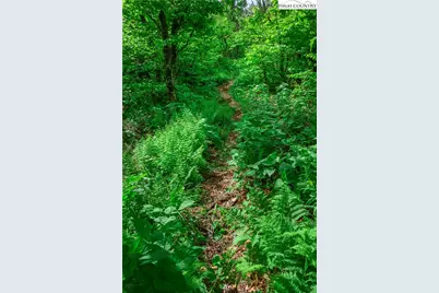 C603 Buffalo Nvno, Zionville, NC 28698 - Photo 46