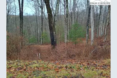 Tbd Riverside Drive, Sparta, NC 28675 - Photo 2