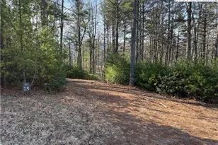 Tbd Walden Ln, West Jefferson, NC 28694 - Photo 1