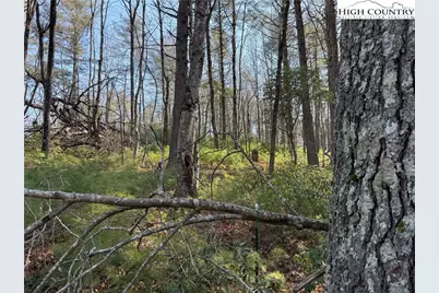 Tbd Walden Lane, West Jefferson, NC 28694 - Photo 14