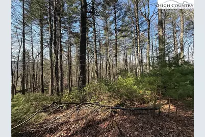 Tbd Walden Lane, West Jefferson, NC 28694 - Photo 8