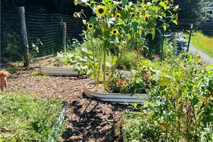 127 Sun Haven Ln, Boone, NC 28607 - Photo 42