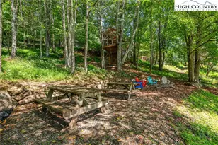 127 Sun Haven Ln, Boone, NC 28607 - Photo 36
