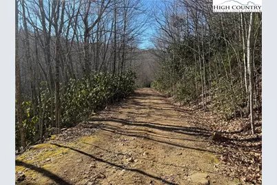 0 Gumtree Road, Beech Mountain, NC 28604 - Photo 6