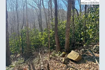0 Gumtree Road, Beech Mountain, NC 28604 - Photo 4