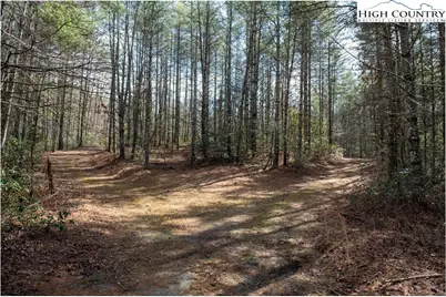 000 Narrow Gauge Drive #22, Collettsville, NC 28645 - Photo 6