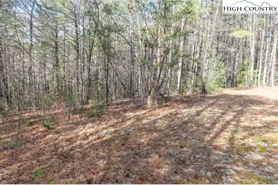 Lot 23 Narrow Gauge Drive #23, Lenoir, NC 28645 - Photo 2