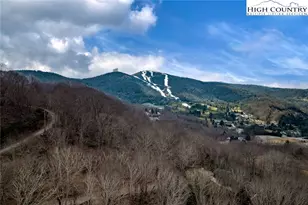 214 Sugar Bear Ridge Ln, Banner Elk, NC 28604 - Photo 44