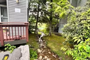 1040 Sugar Mountain Dr, Sugar Mountain, NC 28604 - Photo 2