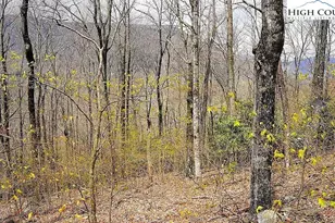 Tbd Fairway Ridge Dr, West Jefferson, NC 28694 - Photo 1