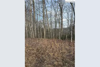 0 White Fawn Drive, Spruce Pine, NC 28777 - Photo 2