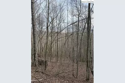 0 White Fawn Drive, Spruce Pine, NC 28777 - Photo 12