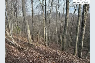 0 White Fawn Drive, Spruce Pine, NC 28777 - Photo 6