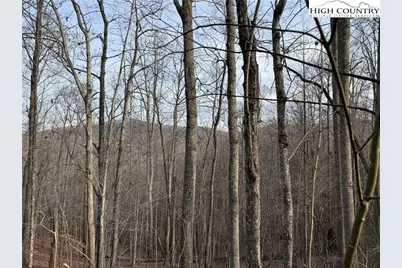 0 White Fawn Drive, Spruce Pine, NC 28777 - Photo 8