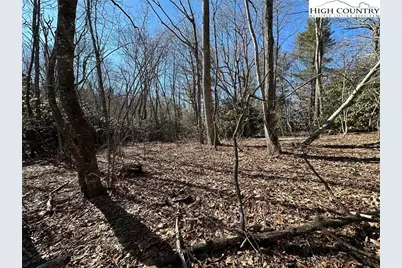Lot 1 Hummingbird Lane, Blowing Rock, NC 28605 - Photo 10