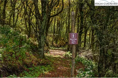 C605 Sugartree Nvno, Zionville, NC 28698 - Photo 46