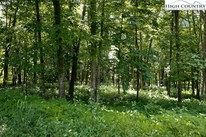 C605 Sugartree Nvno, Zionville, NC 28698 - Photo 2