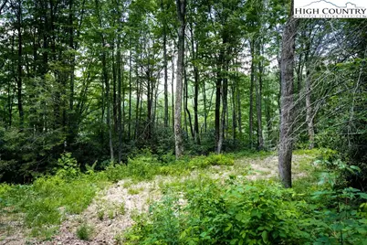C606 Sugartree Nvno, Zionville, NC 28698 - Photo 2