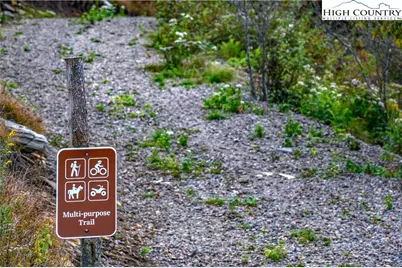 C607 Sugartree Nvno, Zionville, NC 28698 - Photo 46