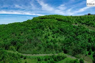 C610 High Mountain Nvno, Zionville, NC 28698 - Photo 1