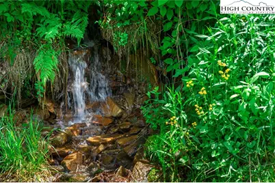 C611 Sugartree Nvno, Zionville, NC 28698 - Photo 50