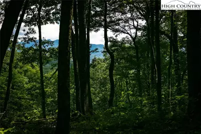 C611 Sugartree Nvno, Zionville, NC 28698 - Photo 2