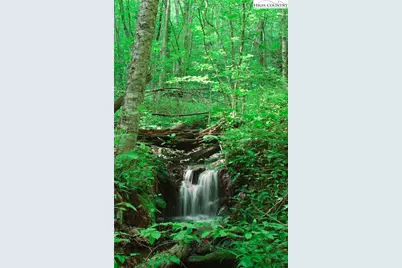 C612 Sugartree Nvno, Zionville, NC 28698 - Photo 48