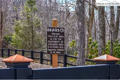 Tbd Raspberry Lane, Elk Park, NC 28622 - Photo 24