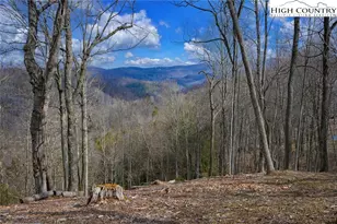 Tbd Raspberry Ln, Elk Park, NC 28622 - Photo 1