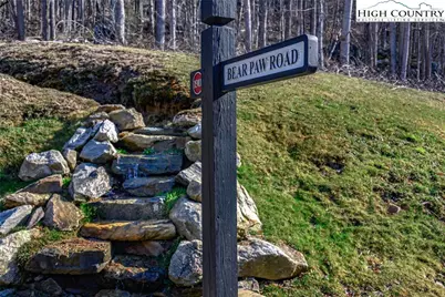 Tbd Raspberry Lane, Elk Park, NC 28622 - Photo 38