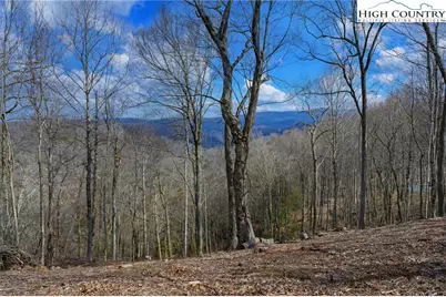Tbd Raspberry Lane, Elk Park, NC 28622 - Photo 6
