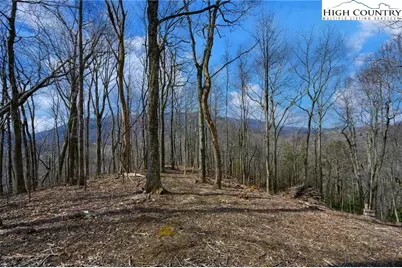 Tbd Raspberry Lane, Elk Park, NC 28622 - Photo 2