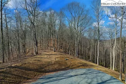 Tbd Raspberry Lane, Elk Park, NC 28622 - Photo 8