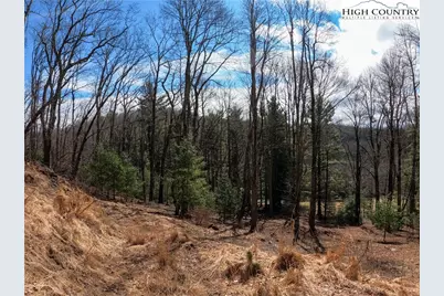 Lot 4 Churchill Downs, Boone, NC 28607 - Photo 16