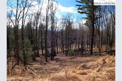 Lot 4 Churchill Downs, Boone, NC 28607 - Photo 8
