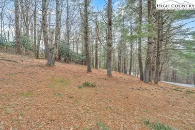 Tract 30R Valle Cay Drive, Vilas, NC 28692 - Photo 6