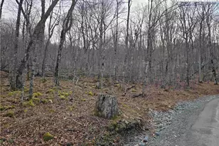 Tbd Rock Spring Circle, Sugar Mountain, NC 28604 - Photo 1