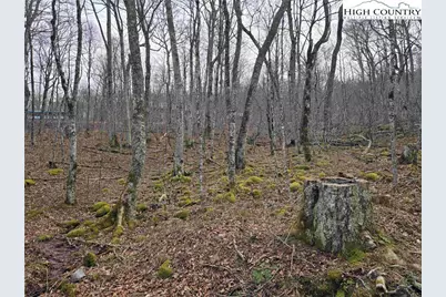 Tbd Rock Spring Circle, Sugar Mountain, NC 28604 - Photo 14