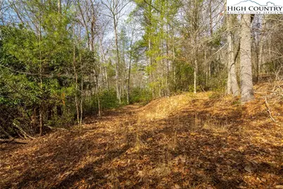 Lot 11 Forever Drive, Fleetwood, NC 28626 - Photo 18