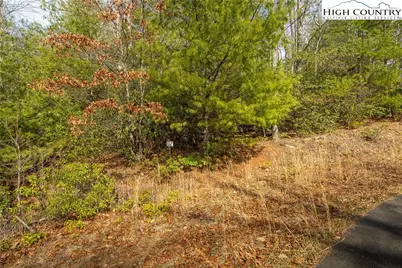 Lot 11 Forever Drive, Fleetwood, NC 28626 - Photo 12